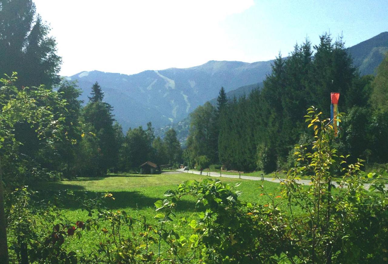 Amthumersbach Villa Zell am See Buitenkant foto